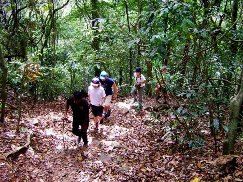 From Kandy: Bird watching tour to Udawatte Kele Sanctuary - FAQ