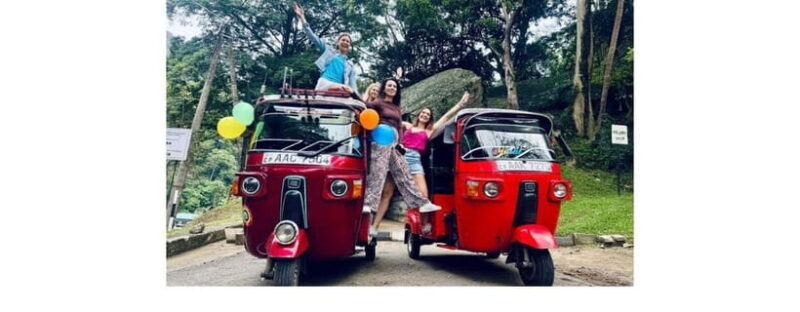 From Kandy: Dambulla to Sigiriya Day Tours - Frequently Asked Questions