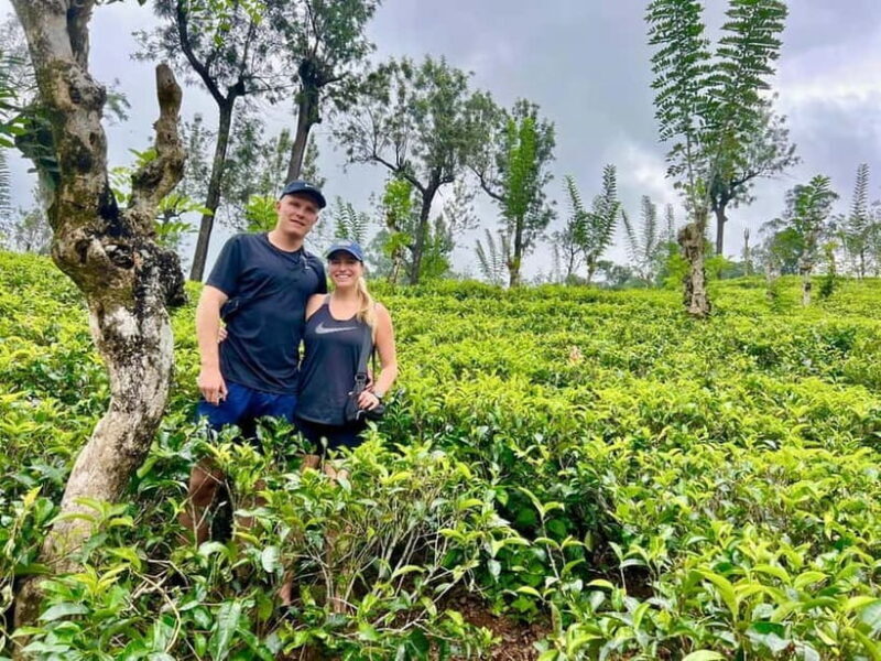 From Kandy: Ella Drop Tour via Nuwara Eliya - The Sum Up