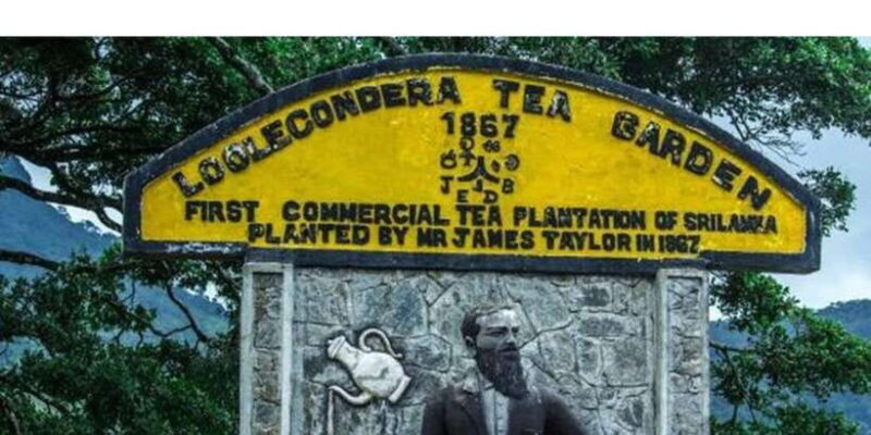 From Kandy: James Taylors Tea Tour (The Tale of Ceylon Tea) - Key Points