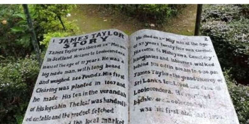 From Kandy: James Taylors Tea Tour (The Tale of Ceylon Tea) - The Detailed Experience: What You Can Expect