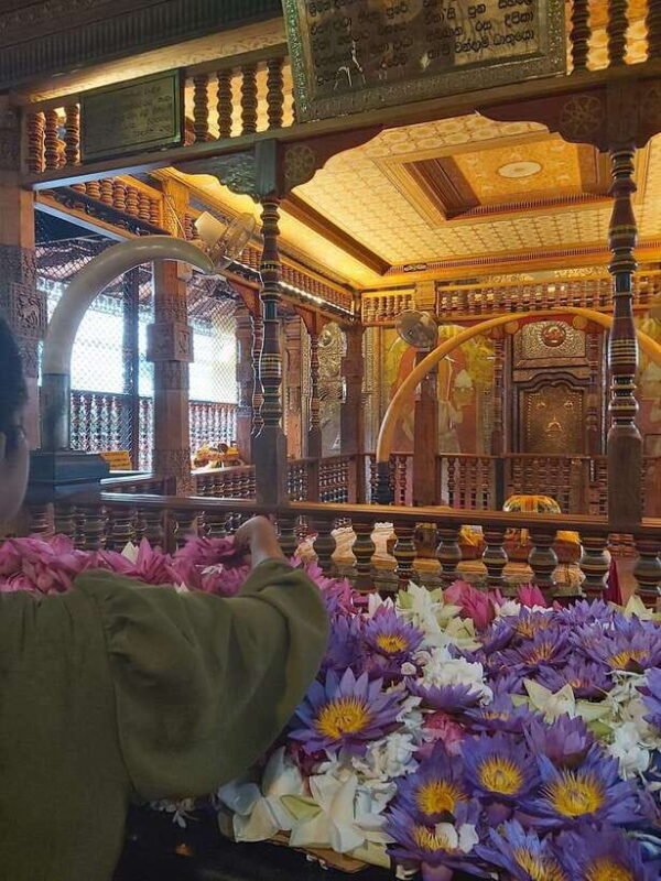 From Kandy- Kandy City Local TUK TUK Tour and Hidden Gems - A Closer Look at the Kandy Tuk Tuk Tour