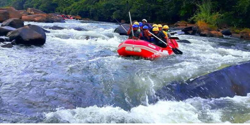 From Kandy: Kithulgala White Water Rafting Adventure - Key Points