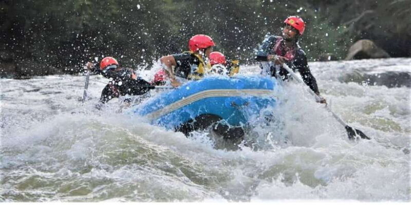 From Kandy: Kithulgala White Water Rafting Adventure - An In-Depth Look at the Kelani River White Water Rafting Experience