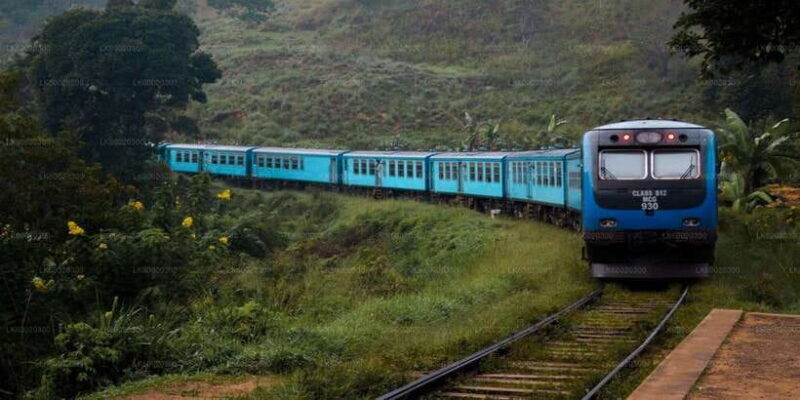From Kandy: Nuwara Eliya by Train - What We Think: Is This Tour Worth It?