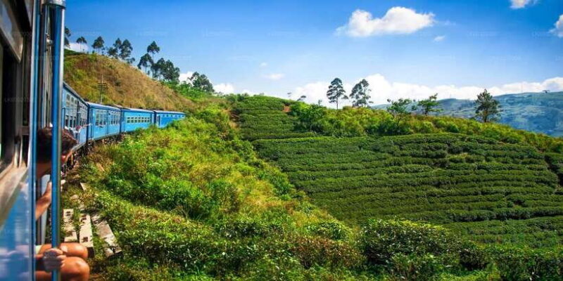 From Kandy: Nuwara Eliya by Train - Who Would Enjoy This Tour?