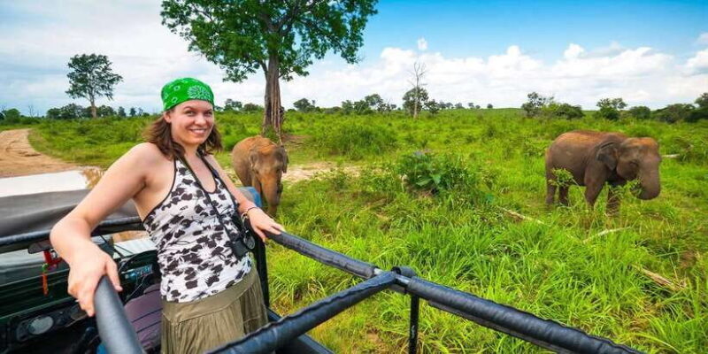 From Kandy: Pidurangala Rock and Minneriya National Park - Wildlife Spectacle at Minneriya