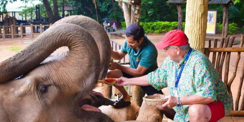 From Kandy: Pinnawala and Botanical Garden Tour By Tuk Tuk - Key Points