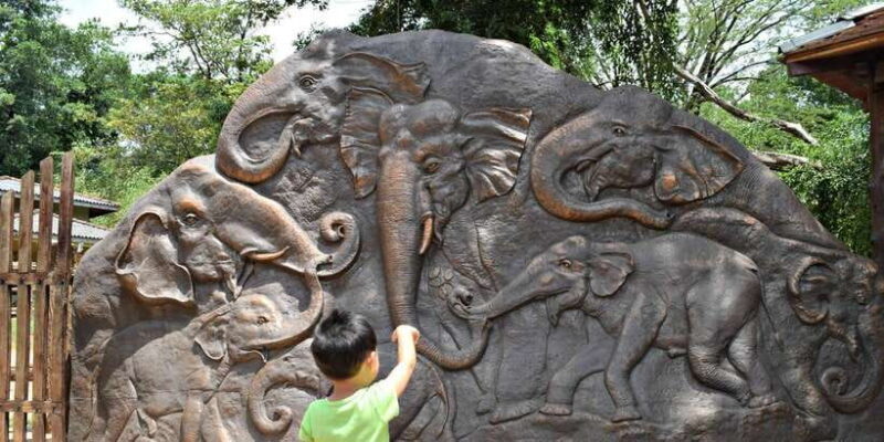 From Kandy: Pinnawala and Botanical Garden Tour By Tuk Tuk - Ranawana Raja Maha Wiharaya: Cultural & Spiritual Insight