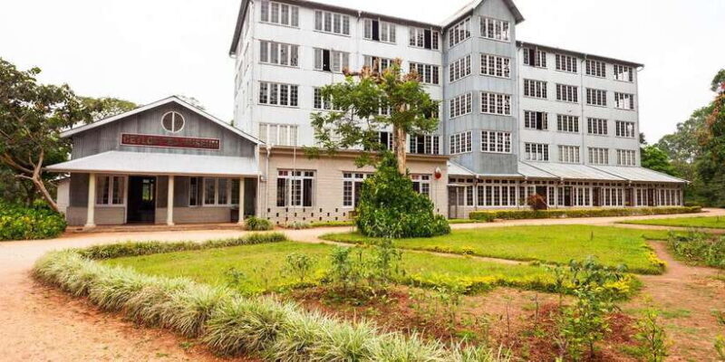 From Kandy: Pinnawala and Botanical Garden Tour By Tuk Tuk - Scenic Return & Kandy Viewpoint