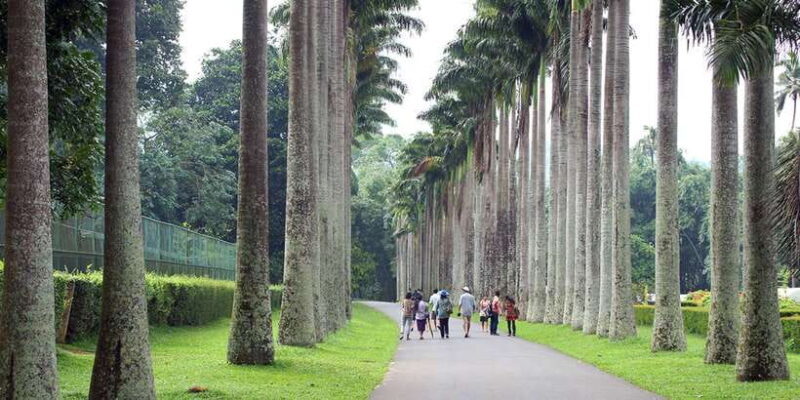 From Kandy: Pinnawala Day Tour - FAQ