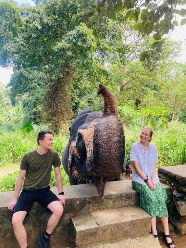From Kandy : Pinnawala Elephant Orphanage & Ambuluwawa Tower - From Kandy: Pinnawala Elephant Orphanage & Ambuluwawa Tower
