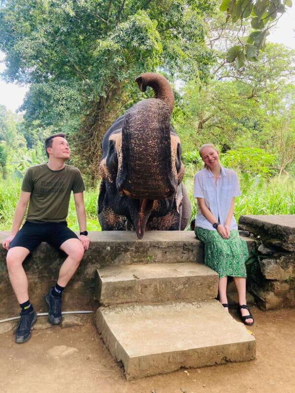 From Kandy : Pinnawala Elephant Orphanage & Ambuluwawa Tower - Who Should Book This Tour?