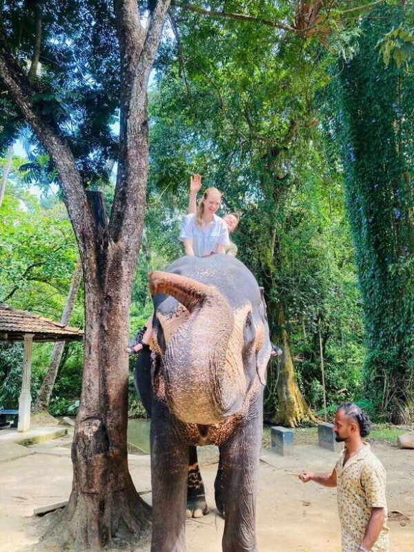 From Kandy : Pinnawala Elephant Orphanage & Ambuluwawa Tower - The Sum Up