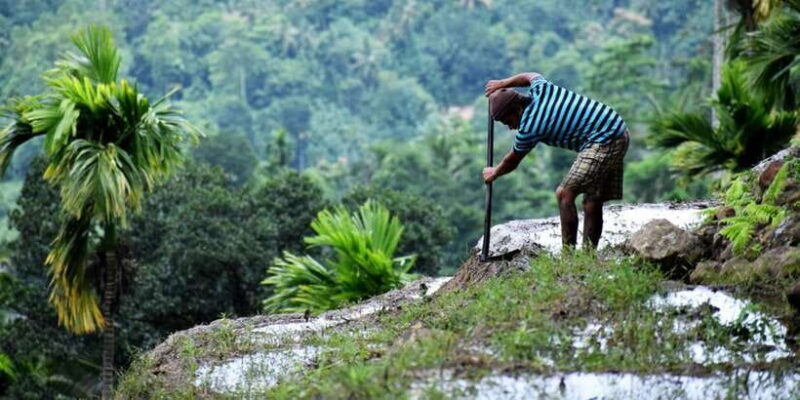 From Kandy: Private Guided Hike to Heeloya - From Kandy: Private Guided Hike to Heeloya