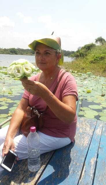From Kandy: Sigiriya and Pidurangala Rock Tuk Tuk Day Tour - Who Is This Tour Best For?