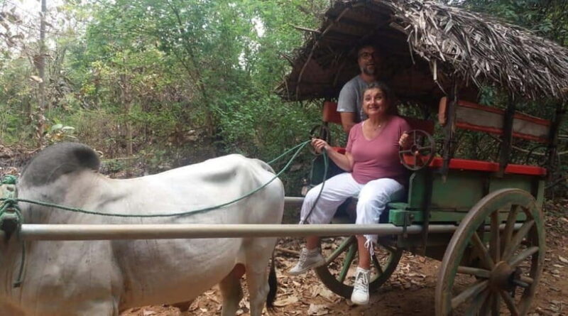 From Kandy: Sigiriya and Pidurangala Rock Tuk Tuk Safari - Who Will Love This Tour?