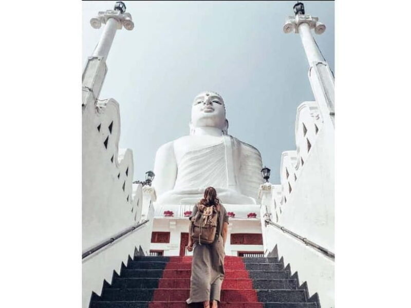 From : Kandy, Sigiriya, Dambulla Guided Day Tours for 2 Days - Who Would Love This Tour?