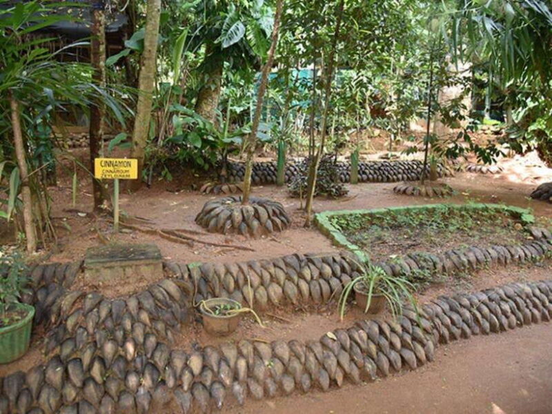 From Kandy: Sigiriya Guided Tuk-Tuk Tour - Exploring the Highlights of the Tour