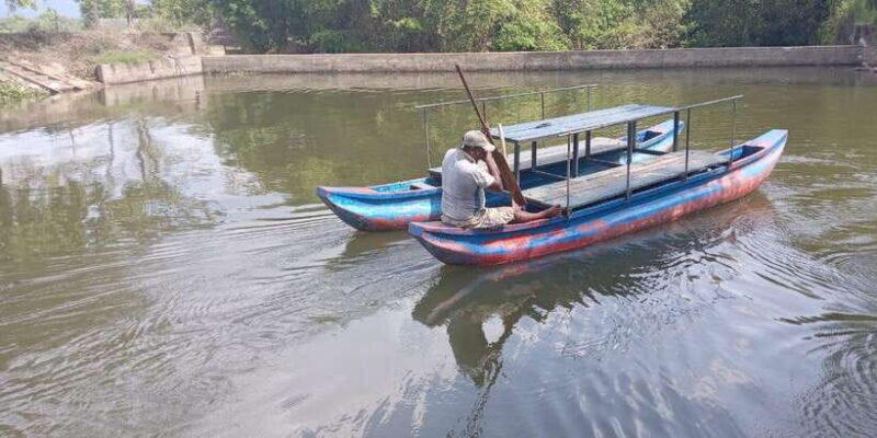 From Kandy: Sigiriya Lion Rock fortress and Village Trip - The Sum Up: Who Will Love This Tour?