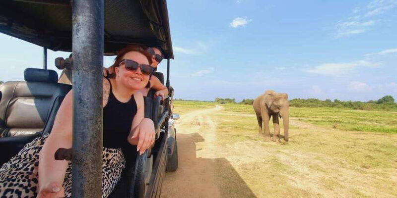 From Kandy: Sigiriya Transfer with Safari and Dambulla Rock - Who Is This Tour Best For?