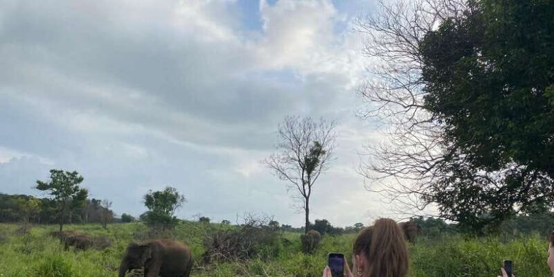 From Kandy to Sigiriya Day Tuk Tuk Trip - FAQs