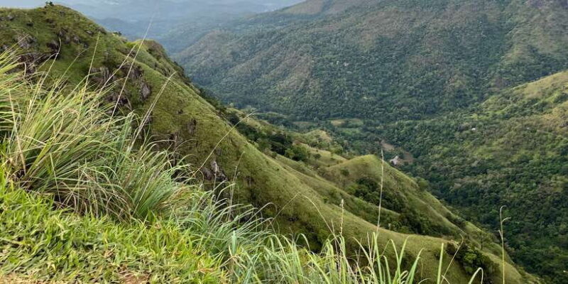 From kandy Train, and Pool Club Day Tour with Pickup - Who Should Consider This Tour?
