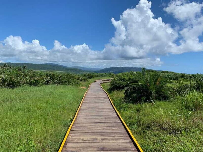 From Kaohsiung: Kenting & Ocean Coast Private Day Tour - Summary: Who Should Consider This Tour?