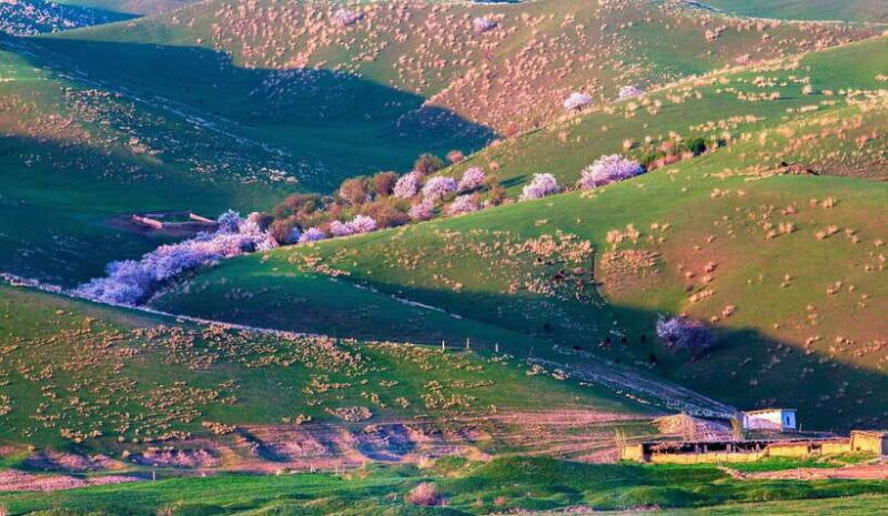 From Kashgar: 5-Day Silk Road Adventure with Accommodation - Why This Tour Offers Good Value