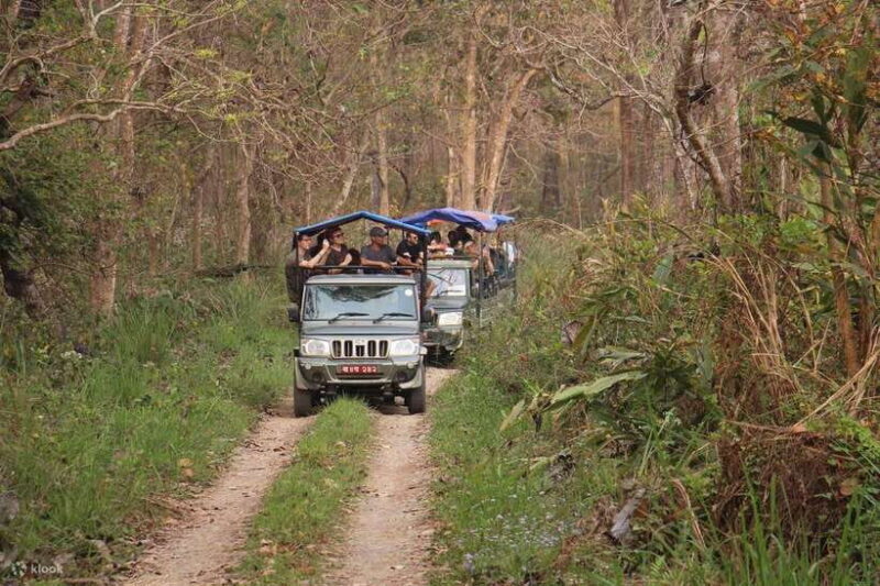 From Kathmandu: 1 Night 2-Day Chitwan Jungle Tour - Who Should Consider This Tour?