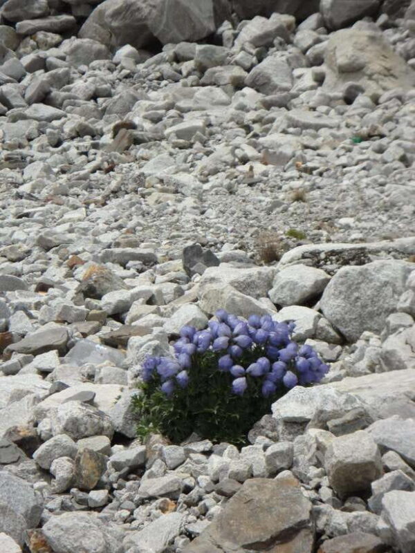 From Kathmandu: 12 - Day Everest Base Camp Guided Trek - Final Thoughts: Is This Tour for You?