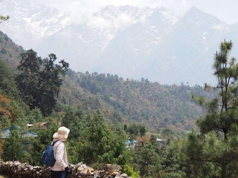 From Kathmandu: 15-Day Everest Base Camp Trek - The Journey in Detail