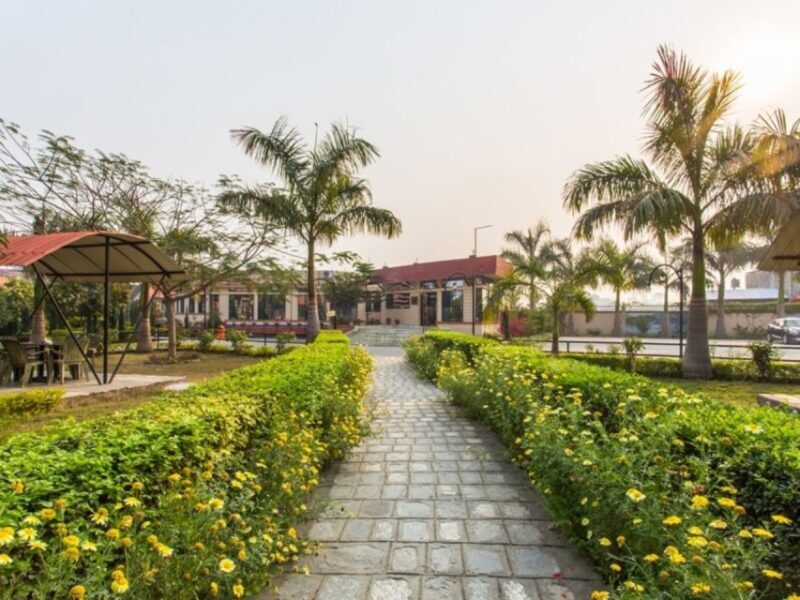 From Kathmandu: 3-Day Chitwan National Park & Elephants Tour - The Sum Up