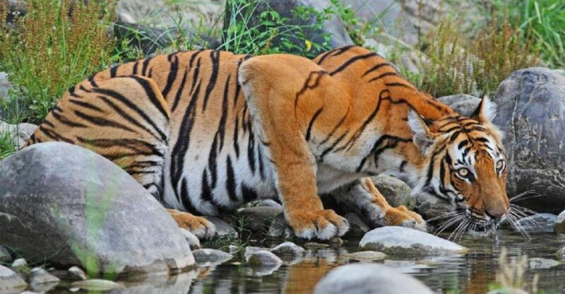 From Kathmandu: 3-Day Chitwan National Park Tour - Key Points