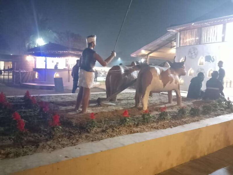 From Kathmandu: 4-Day Chitwan National Park Tour - Who Will Love This Tour?