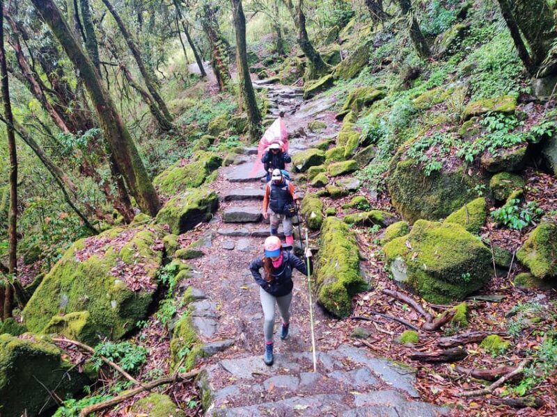 From Kathmandu: 5 Days Annapurna Base Camp Trek with flight - Who Will Love This Trek?