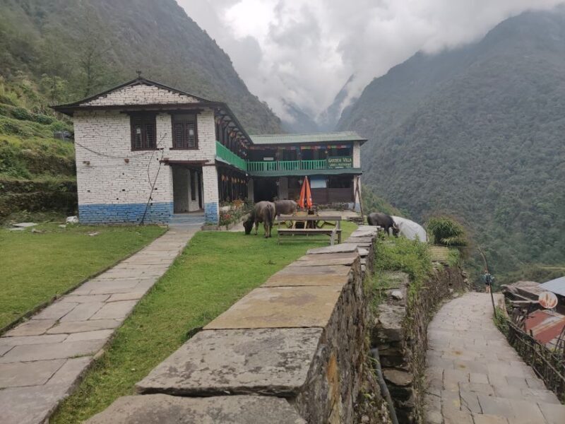 From Kathmandu: 7-Day Annapurna Basecamp Trek - Authentic Experiences and Challenges