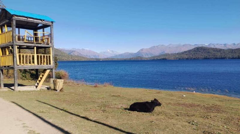 From Kathmandu: 7-Day Jeep Tour to Rara Lake. - Practical Tips for the Trip
