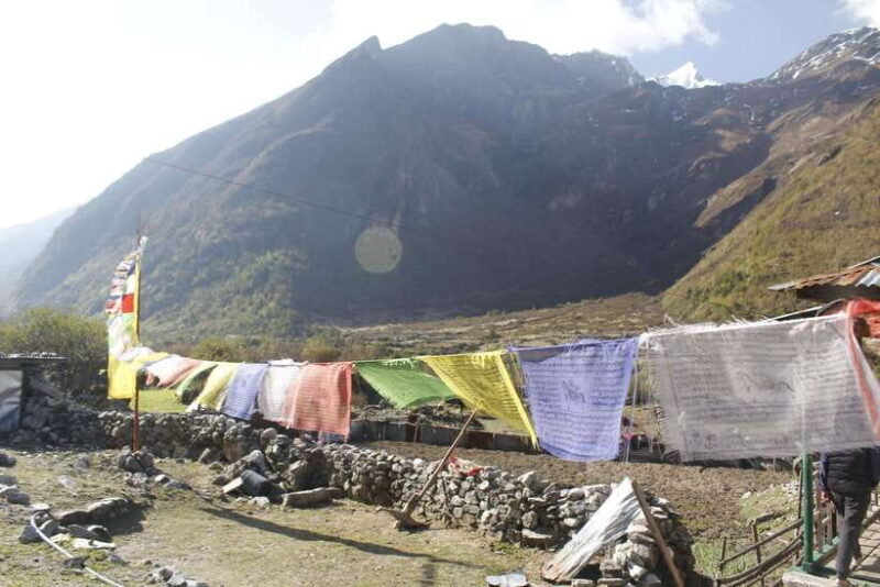 From Kathmandu: 7-Day Langtang Valley Trek - An In-Depth Look at the 7-Day Langtang Valley Trek