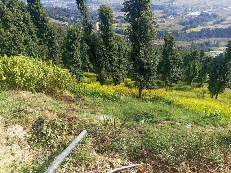 From Kathmandu: Everest View from Nagarkot & hike to Changu - Authentic Nepali Experiences