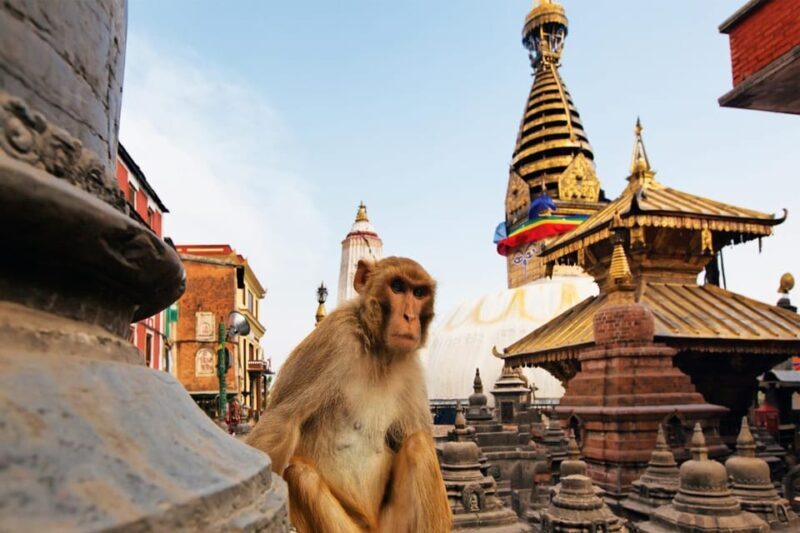 From Kathmandu: Iconic Chandragiri Hill & Monkey Temple Tour - The Sum Up
