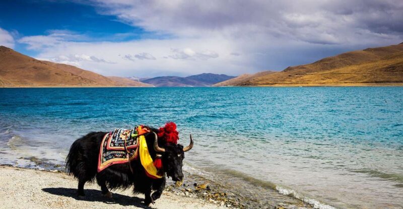 From Kathmandu: Multi-Day Tibet Highlights Trip - The Practical Side: What You Need to Know