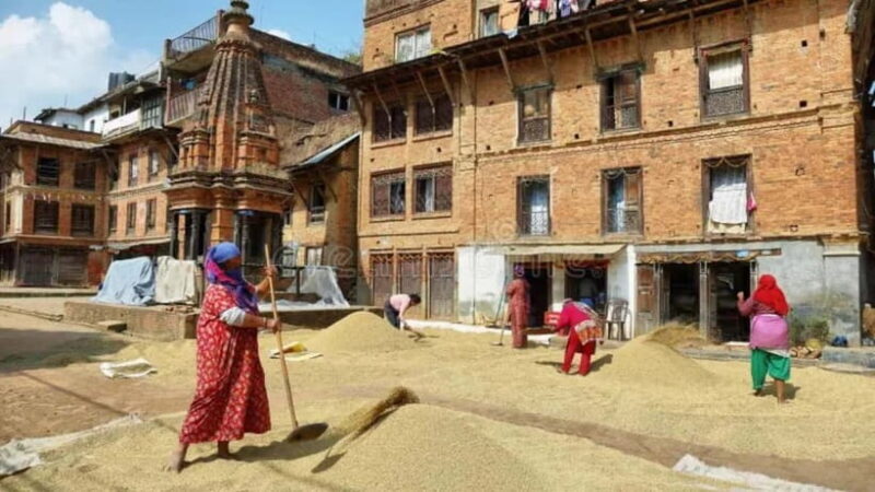 From Kathmandu: Newari Villages Culture & Cuisine Day Trip - Key Points