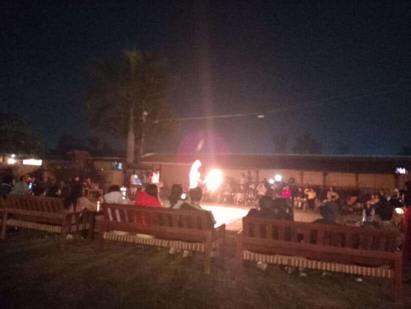 From Kathmandu or Pokhara: 4-Day Chitwan National Park Tour - In-Depth Review of the 4-Day Chitwan Tour