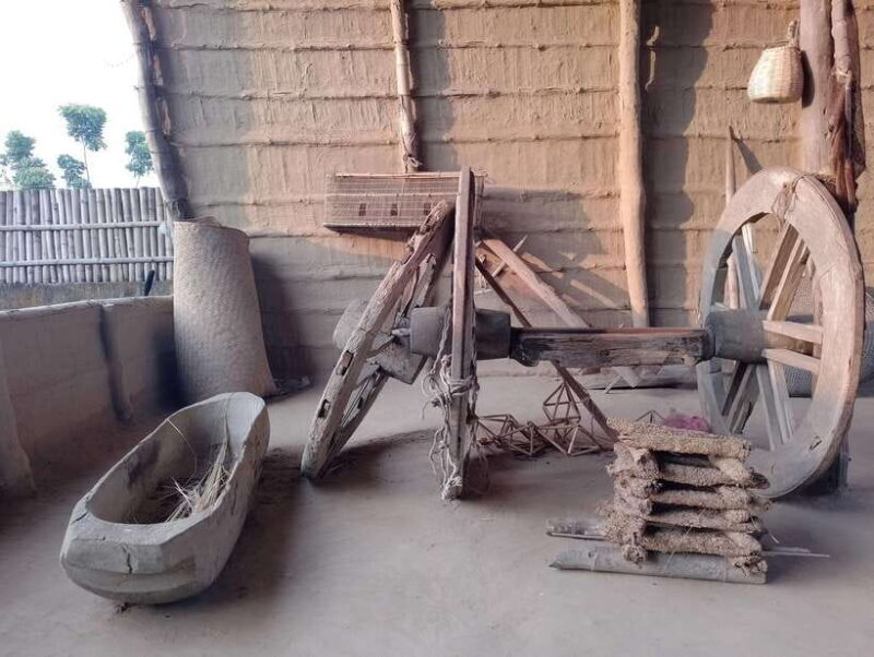 From Kathmandu or Pokhara: 5-Day Chitwan National Park Tour - Who Will Appreciate This Tour?