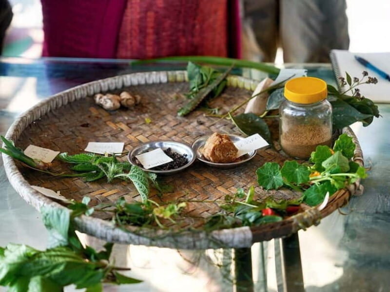 From Kathmandu: Patlekhet Permaculture Organic Farm Tour - The Sum Up