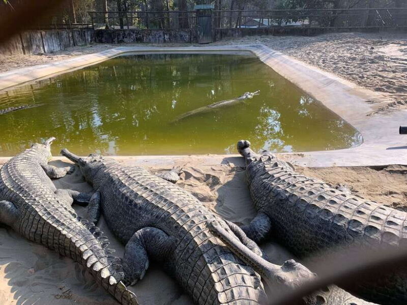 From Kathmandu/Pokhara: 2, 3, or 4-Day Chitwan Jungle Safari - FAQ: Your Practical Questions Answered