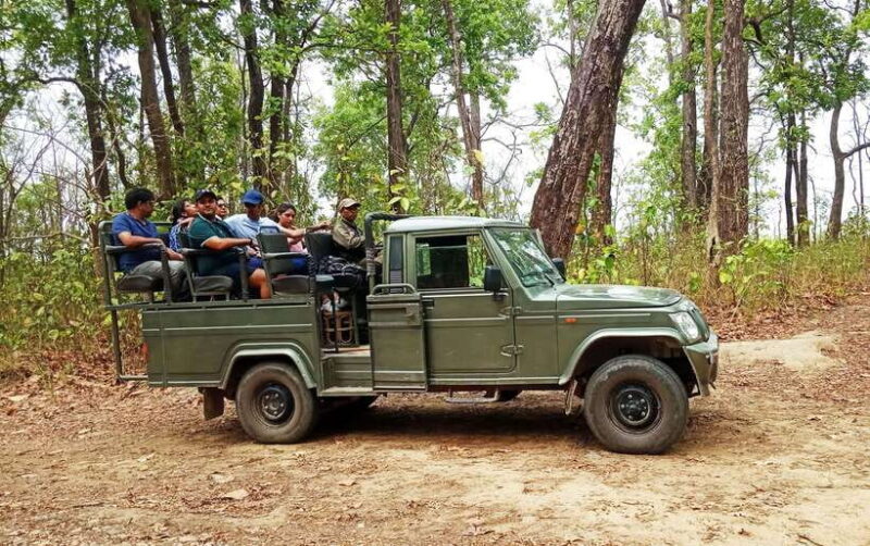 From Kathmandu/Pokhara: 2, 3, or 4-Day Chitwan Jungle Safari - Final Thoughts