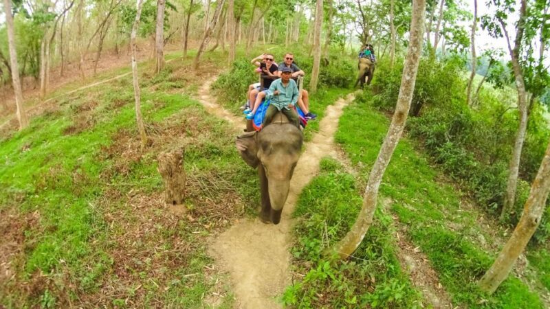 From Kathmandu/Pokhara: 3 Day All-Inclusive Chitwan Safari - Starting Point and Transportation