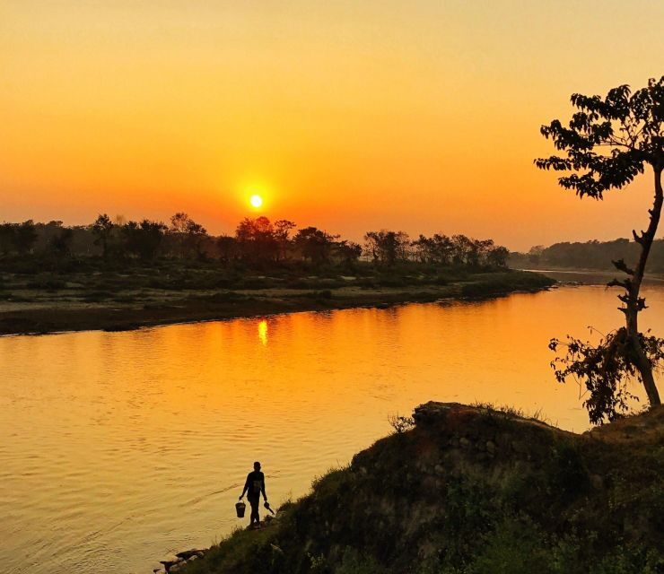 From Kathmandu/Pokhara: 3 Day All-Inclusive Chitwan Safari - Day 3: Farewell and Return